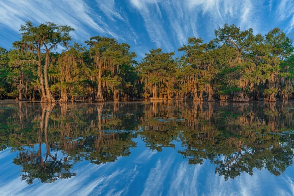 caddo10
